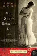 THE SPACE BETWEEN US (P.S.)