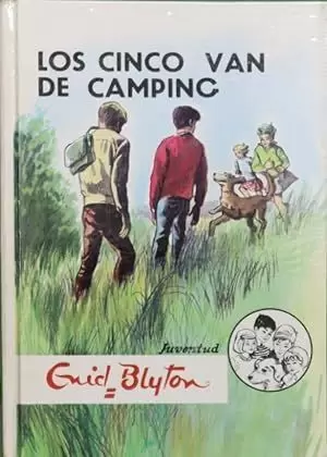 LOS CINCO VAN DE CAMPING